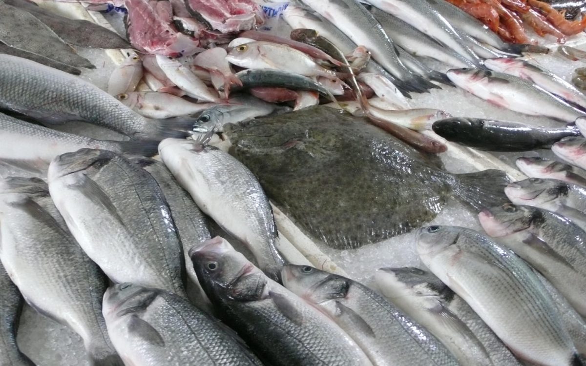 Z MOŘE PŘÍMO NA TRH